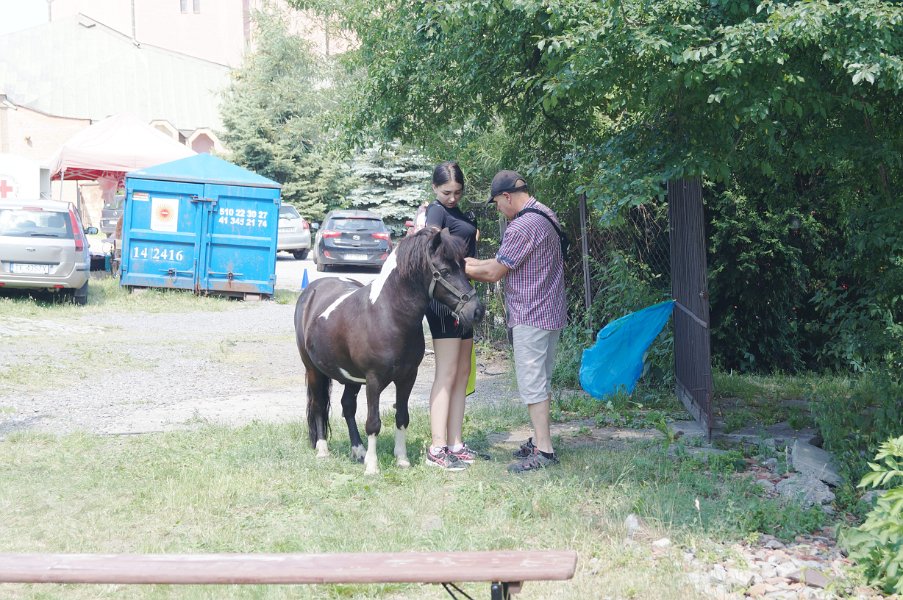 DSC03257