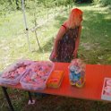 DSC03252