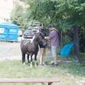 DSC03257