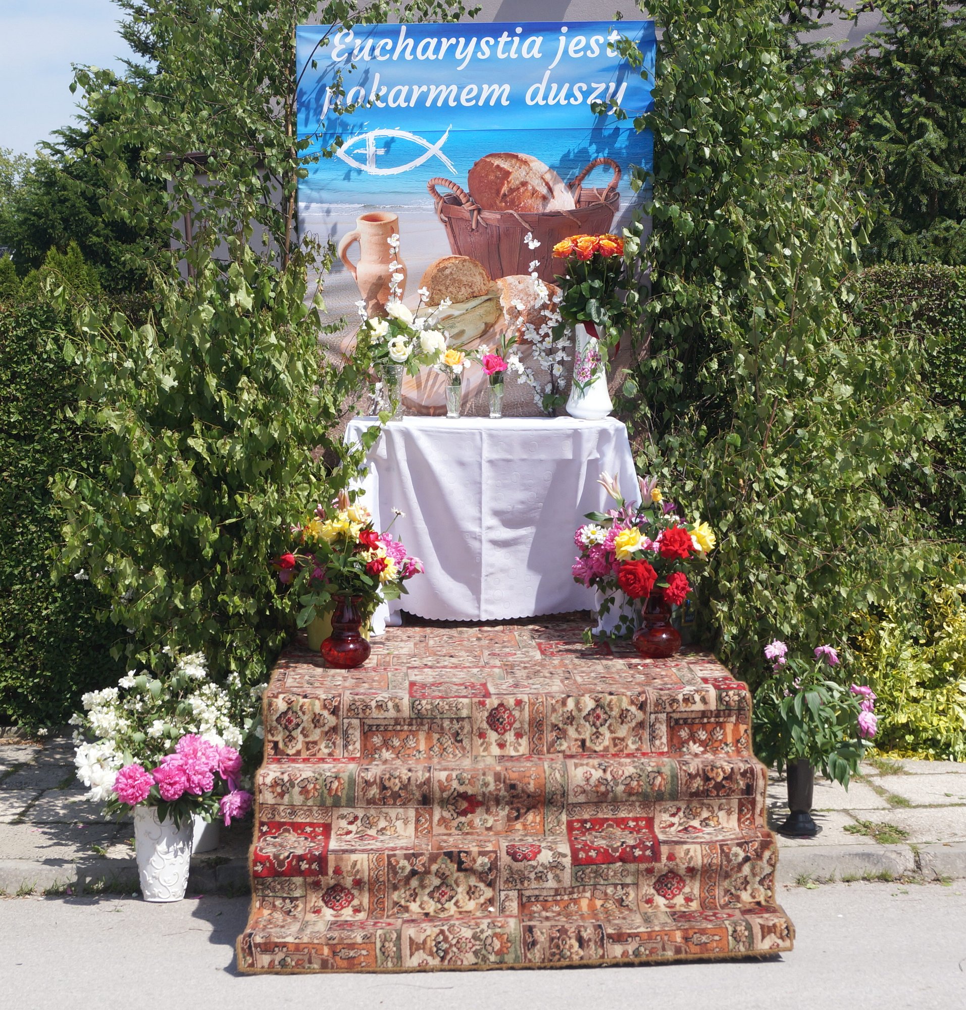 DSC03074