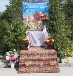DSC03074a